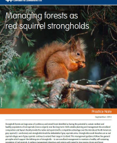 Managing Forests as Red Squirrel Strongholds